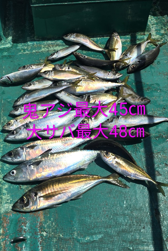 アジ(マアジ)・サバ(マサバ)