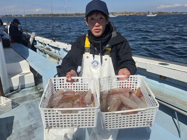 マルイカ(ケンサキイカ)