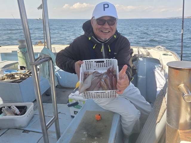 マルイカ(ケンサキイカ)