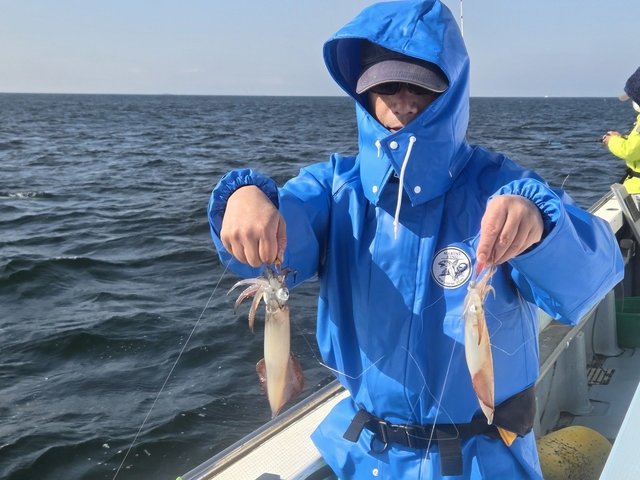 マルイカ(ケンサキイカ)