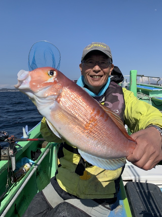 アマダイ(アカアマダイ)