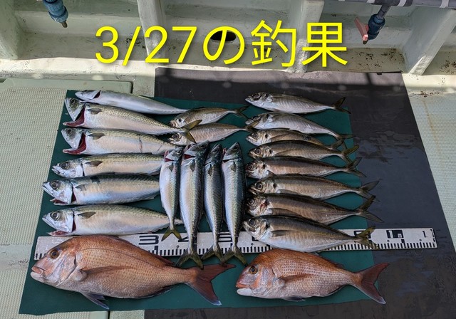 マダイ・マアジ・マサバ