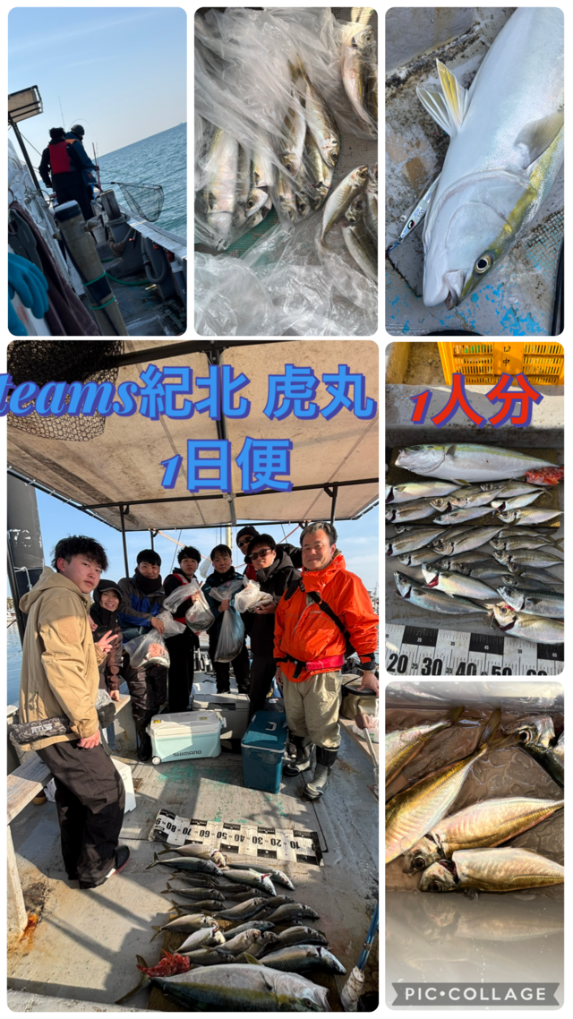 アジ(マアジ)・メジロ(ブリ)・マサバ