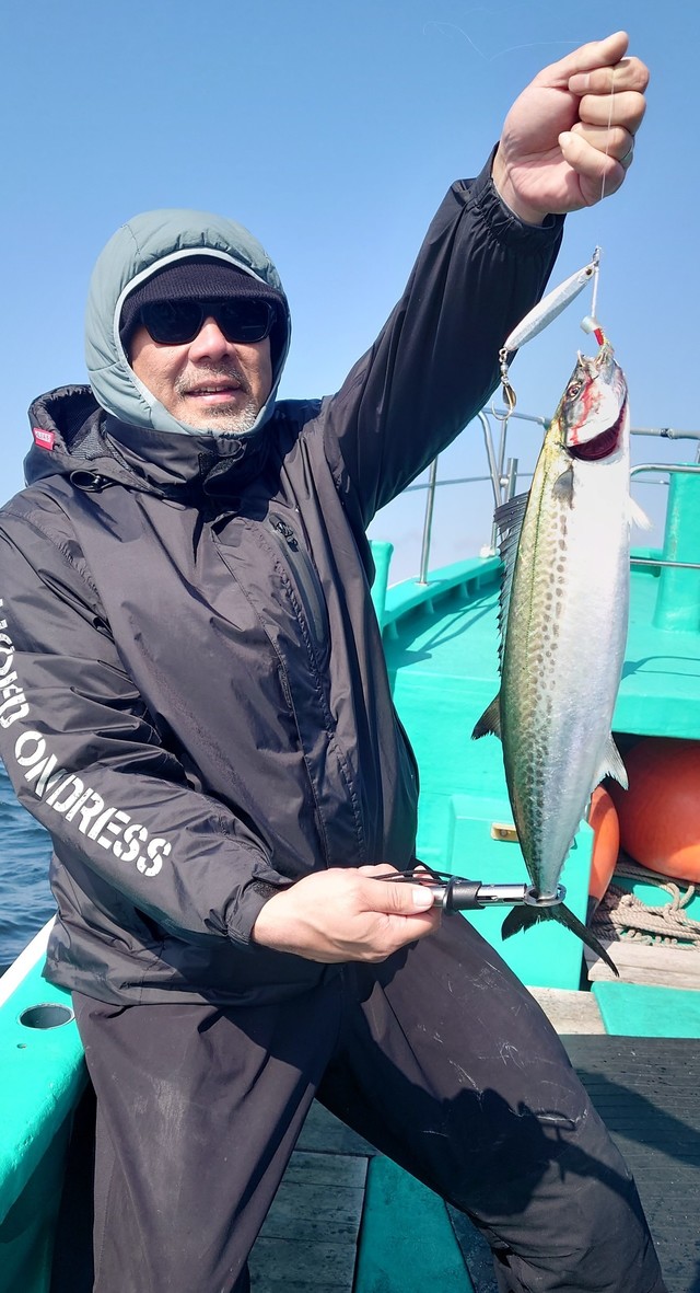 サゴシ(サワラ)