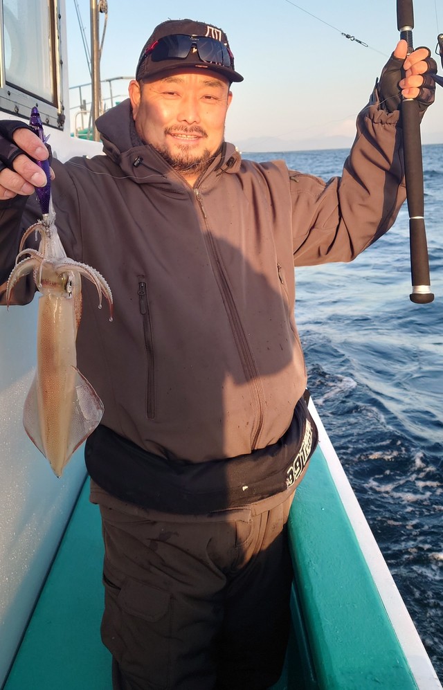 マルイカ(ケンサキイカ)