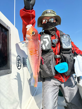 アマダイ(アカアマダイ)