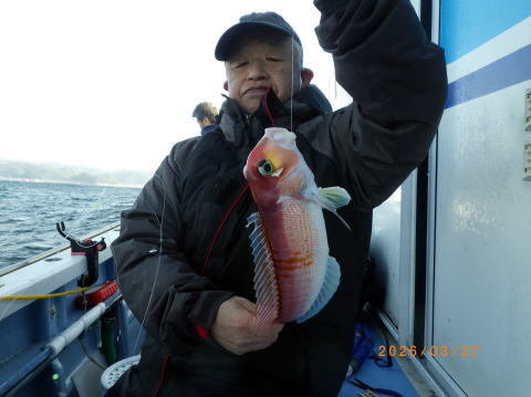 アマダイ(アカアマダイ)