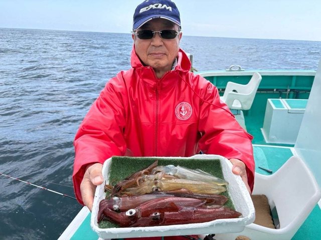 マルイカ(ケンサキイカ)