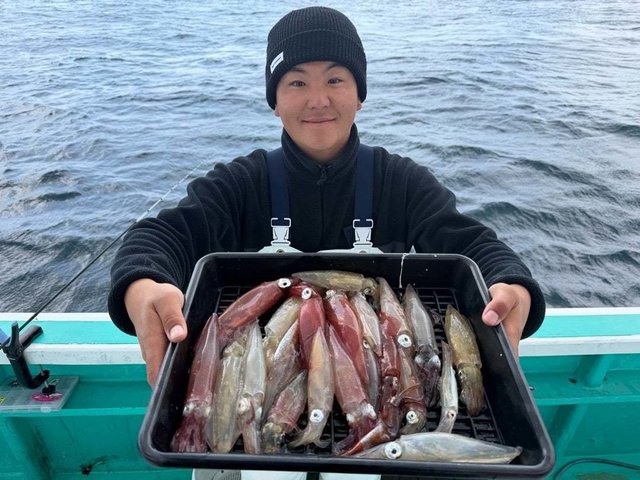 マルイカ(ケンサキイカ)