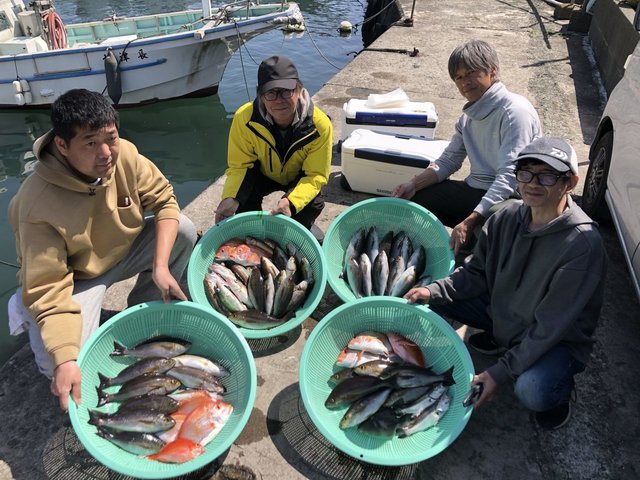 レンコダイ(キダイ)・アカイサキ・アラ・イサキ