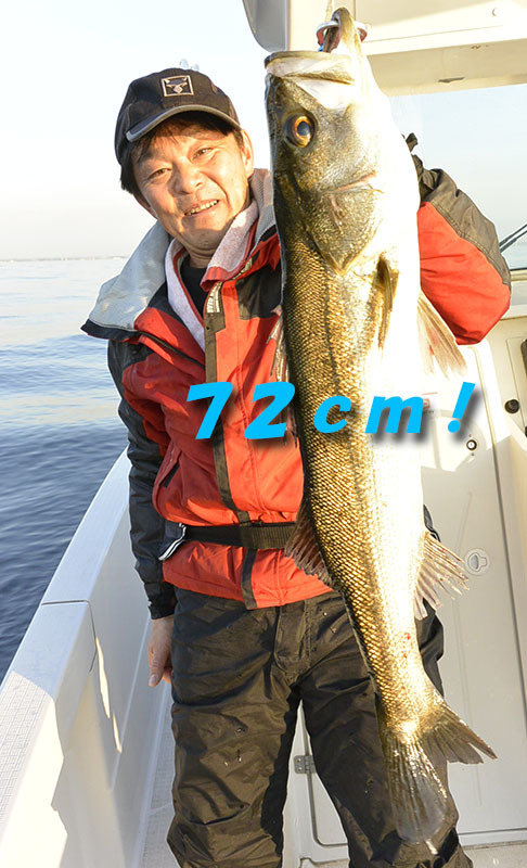 シーバス(スズキ)