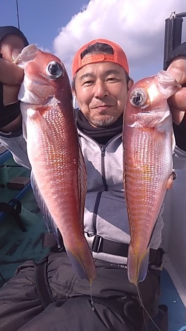 アマダイ(アカアマダイ)