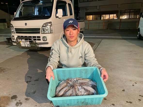 スルメ(スルメイカ)