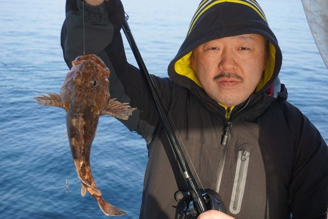 ガシラ(カサゴ)