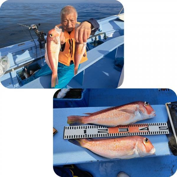 アマダイ(アカアマダイ)