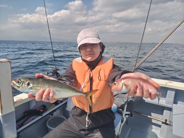 アジ(マアジ)・アカアマダイ