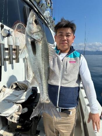 シーバス(スズキ)