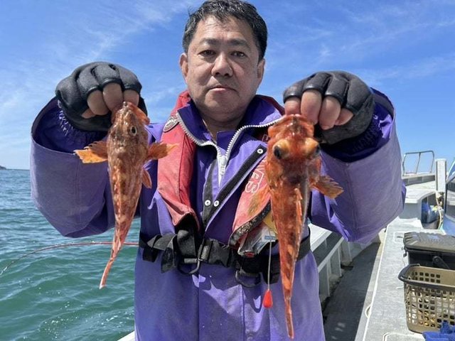 カサゴ