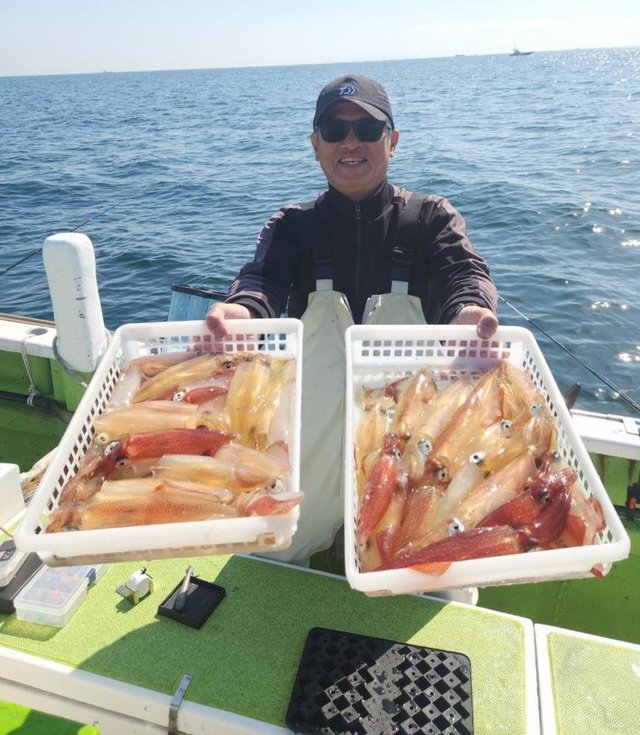 マルイカ(ケンサキイカ)