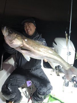 シーバス(スズキ)