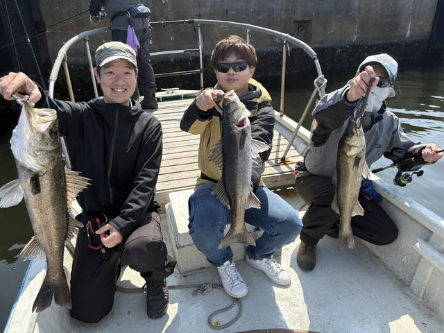 シーバス(スズキ)