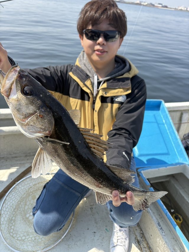 シーバス(スズキ)