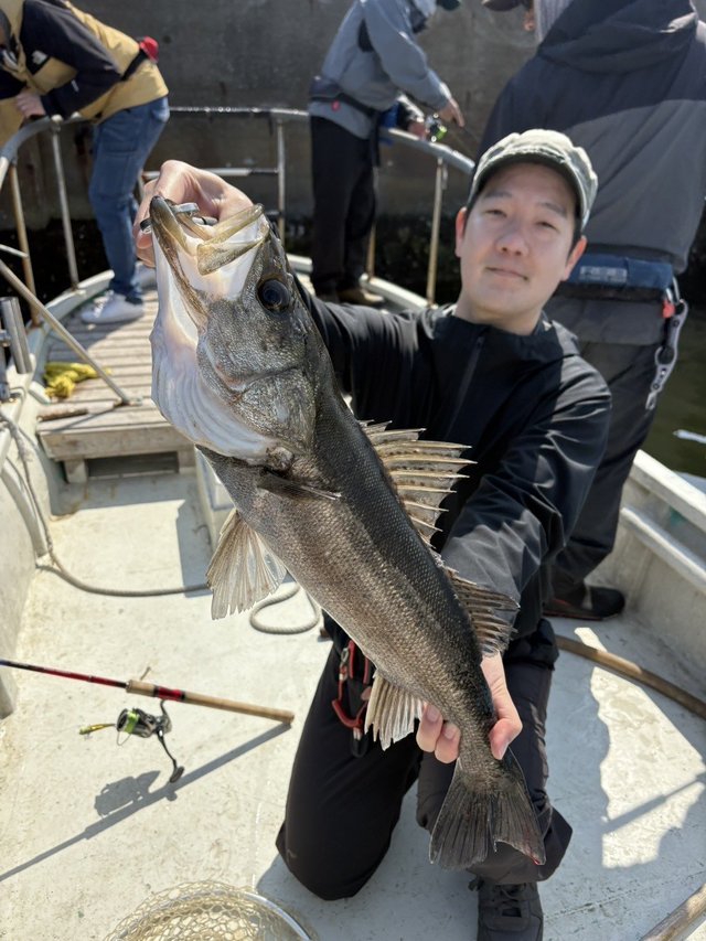 シーバス(スズキ)