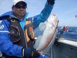 アマダイ(アカアマダイ)