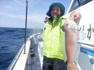 アマダイ(アカアマダイ)