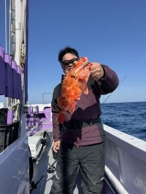 オニカサゴ