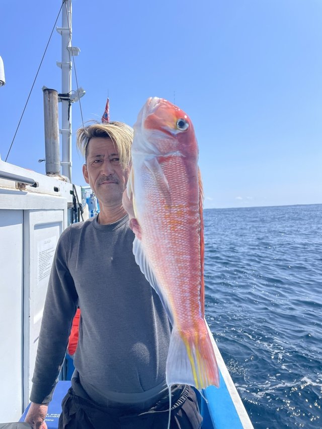 アマダイ(アカアマダイ)