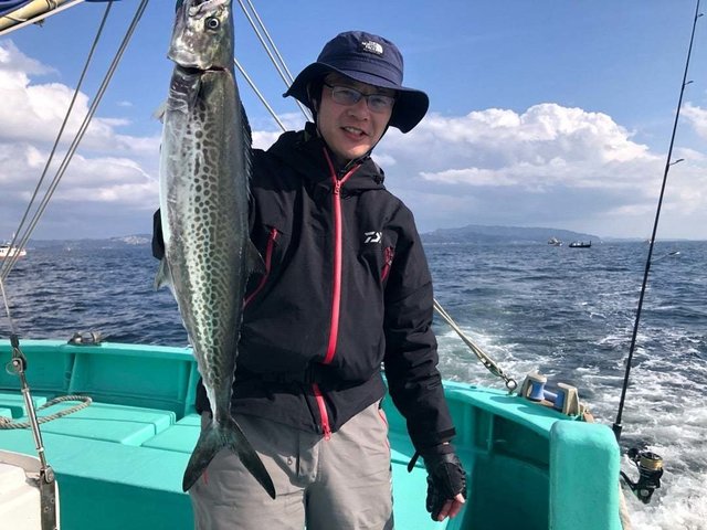 サゴシ(サワラ)