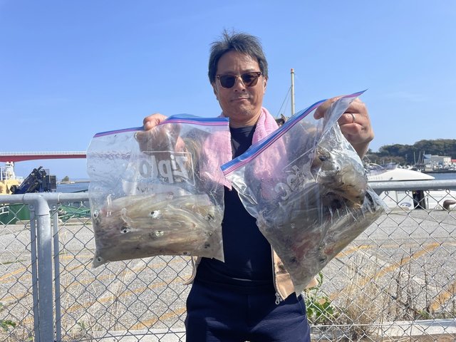 マルイカ(ケンサキイカ)