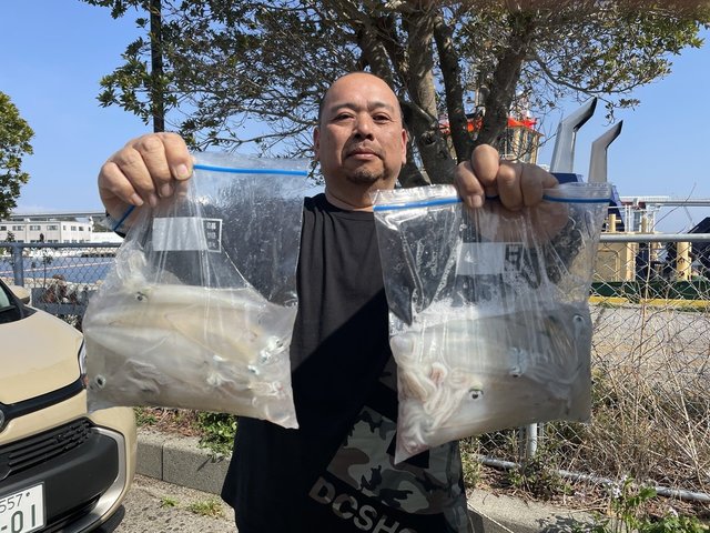 マルイカ(ケンサキイカ)