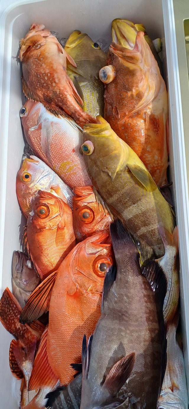 チカメキントキ