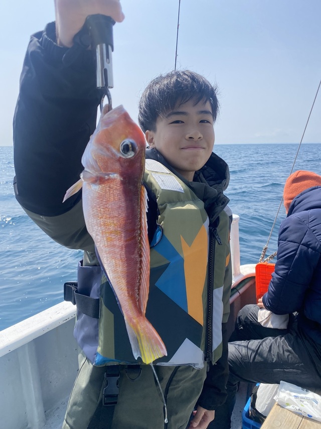 アマダイ(アカアマダイ)