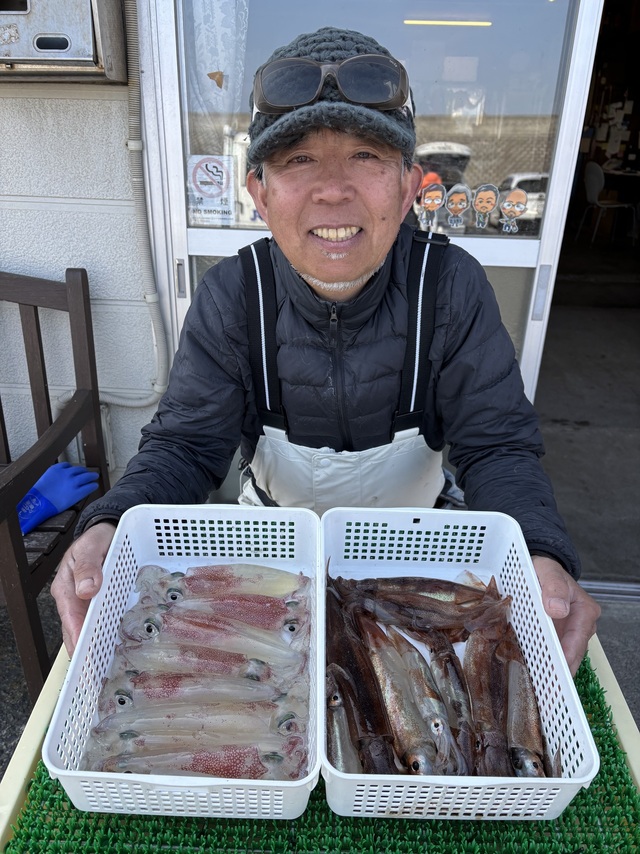 マルイカ(ケンサキイカ)