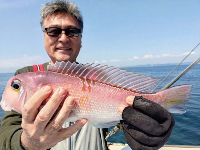 アマダイ(アカアマダイ)