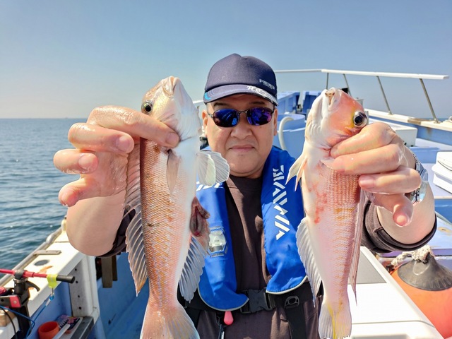 アマダイ(アカアマダイ)