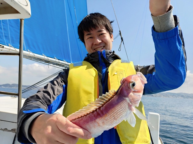 アマダイ(アカアマダイ)