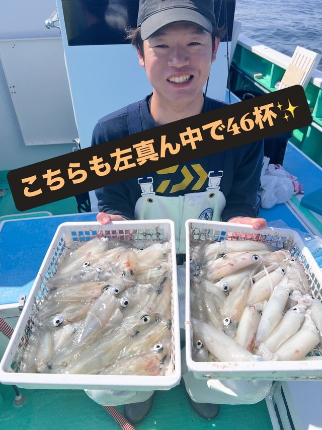 マルイカ(ケンサキイカ)