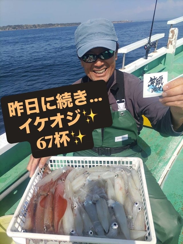 マルイカ(ケンサキイカ)