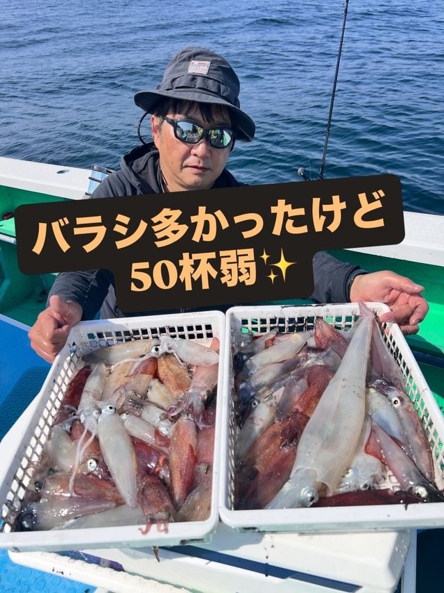 マルイカ(ケンサキイカ)