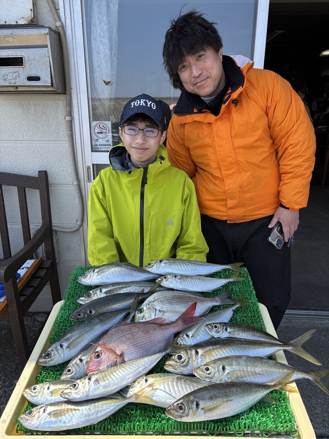 マダイ・アジ(マアジ)