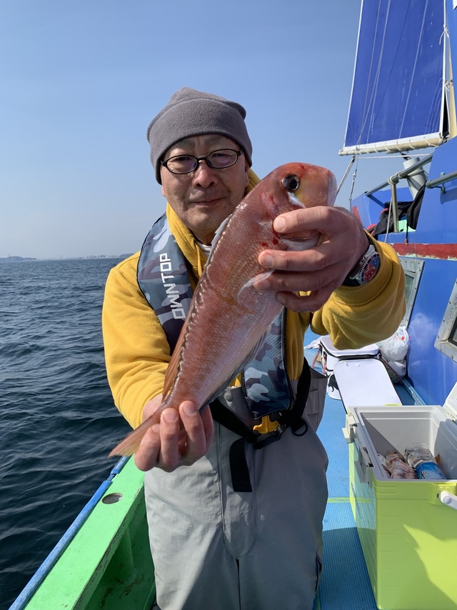 アマダイ(アカアマダイ)