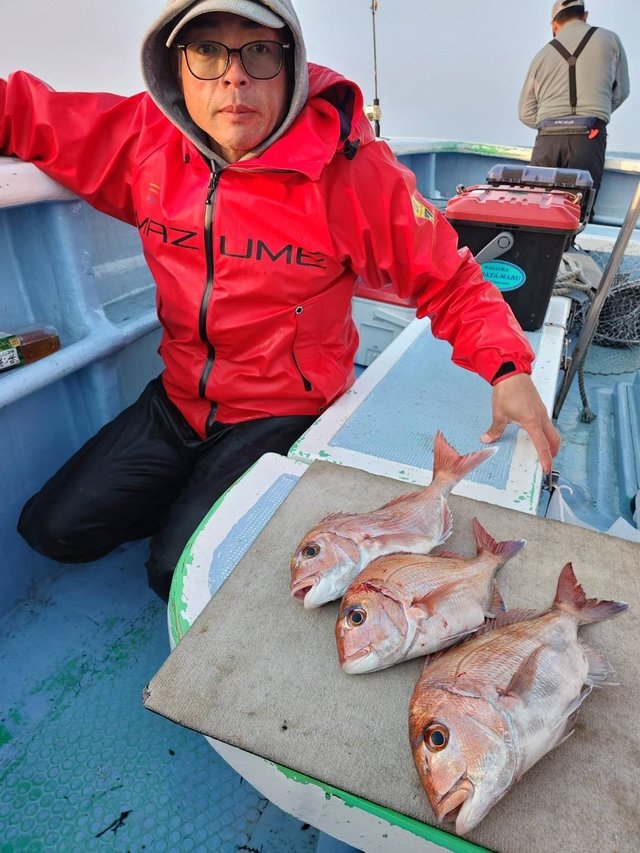 マダイ・ハナダイ(チダイ)