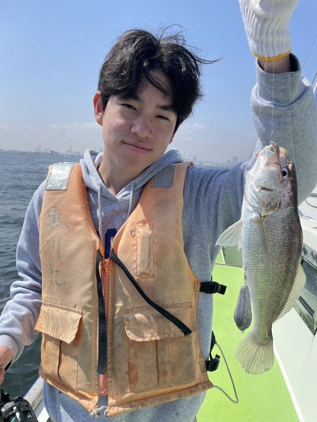 イシモチ(シログチ)