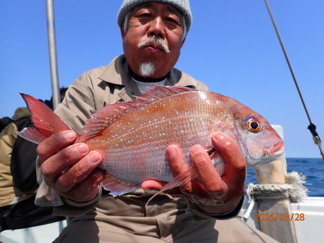 チャリコ(マダイ)