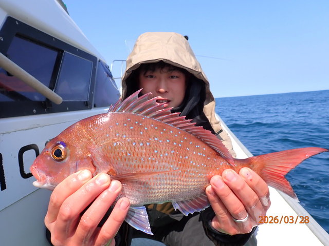 チャリコ(マダイ)