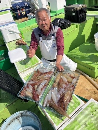 マルイカ(ケンサキイカ)